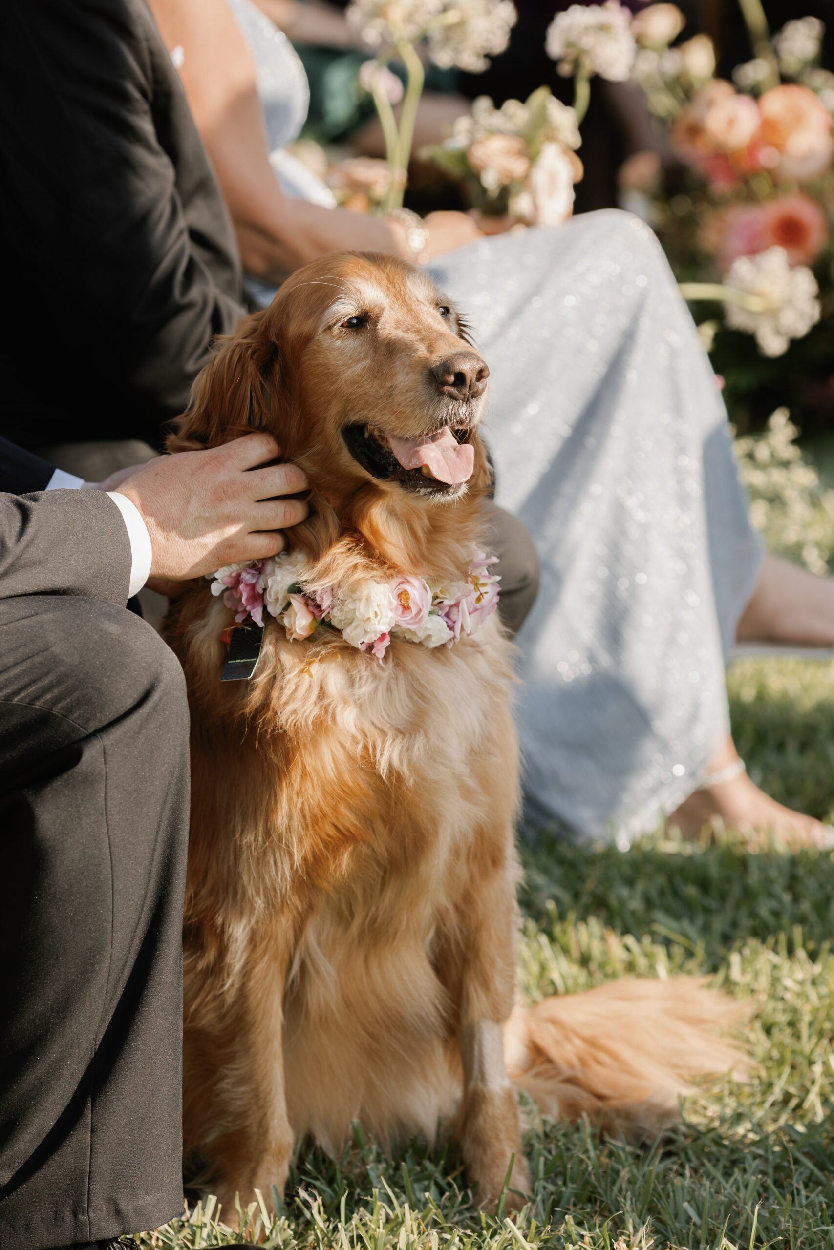 Waterfront Naples’ Port Royal | Priscila Del Cristo Photo Couple’s dog Peyton attending ceremony in port royal naples florida.